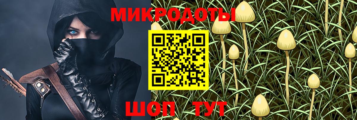 Чита  Галлюциногенные грибы прущие грибы  наркошоп  Вход с VPN 