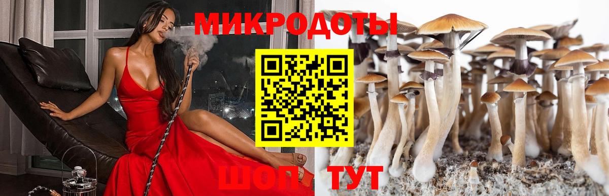 Галлюциногенные грибы Psilocybine cubensis Чита